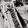 Learn about the House &amp; Selma