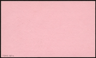 Pink reverse side of blotter